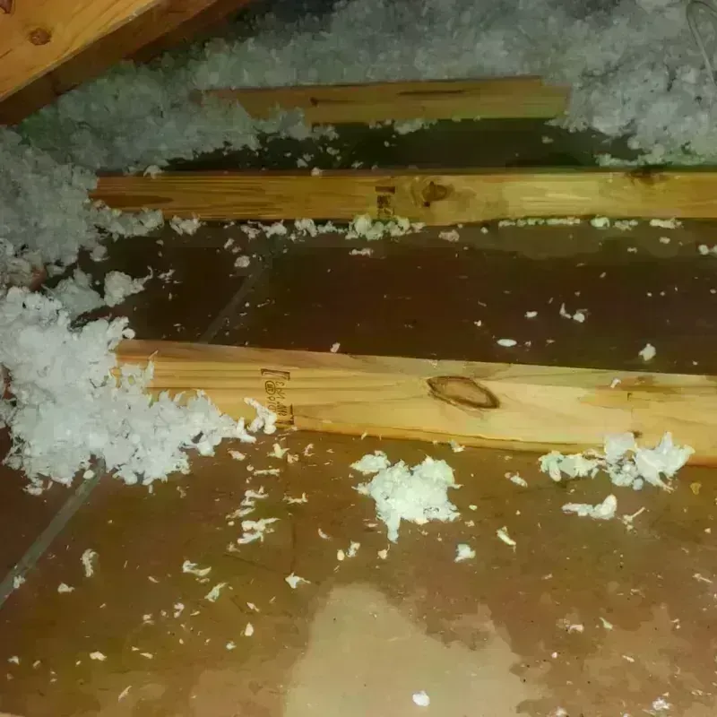 Attic Water Damage in Hamburg, AR