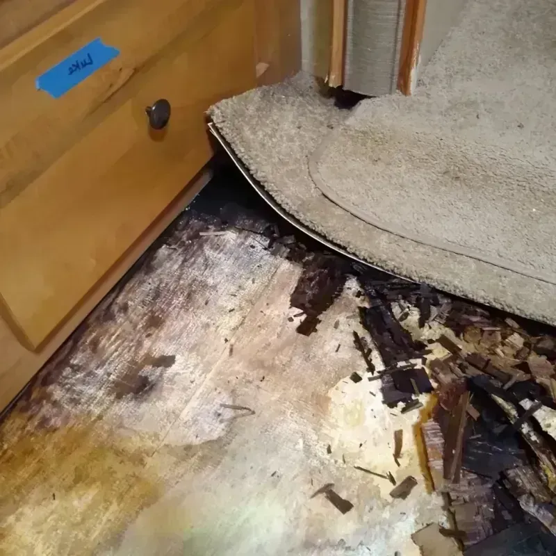 Wood Floor Water Damage in Hamburg, AR